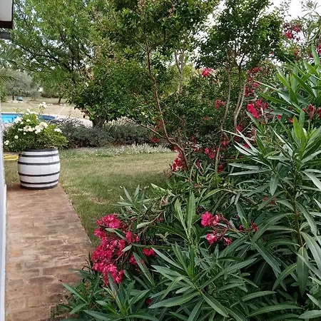 Kuca Za Odmor Silvano Tatil Evi Vodnjan