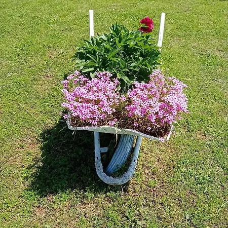 Vikendica Kuca Za Odmor Silvano *