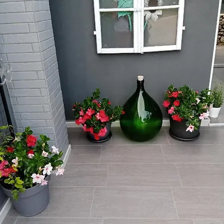 Kuca Za Odmor Silvano Casa vacanze Vodnjan