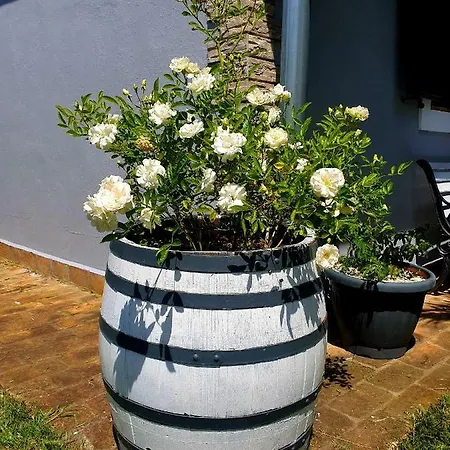 Kuca Za Odmor Silvano Holiday home Vodnjan
