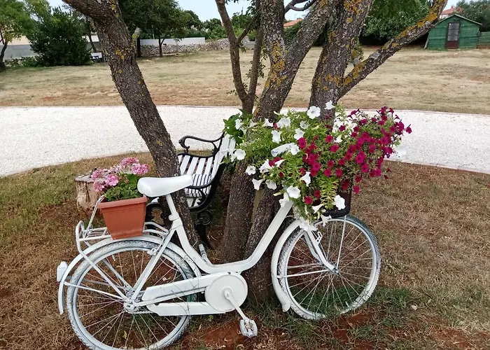 펜션 Kuca Za Odmor Silvano *