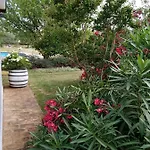 Kuca Za Odmor Silvano Hébergement de vacances Vodnjan