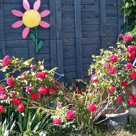 Kuca Za Odmor Silvano Ferienhaus *