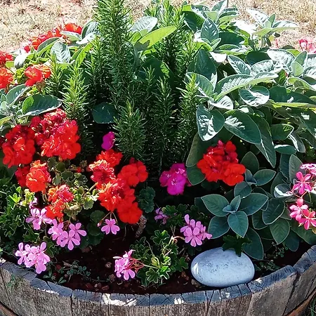 Kuca Za Odmor Silvano Vodnjan