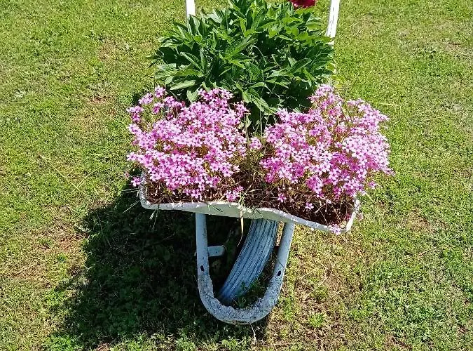 Ferienhaus Kuca Za Odmor Silvano *