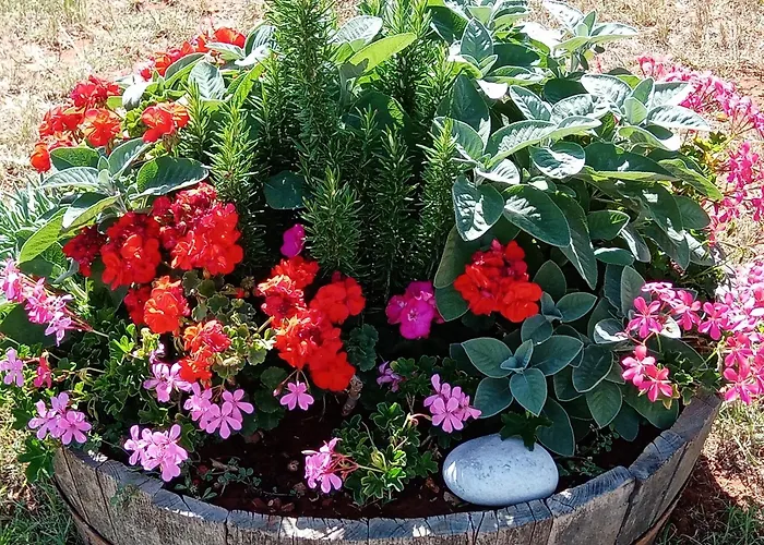 Kuca Za Odmor Silvano Vodnjan