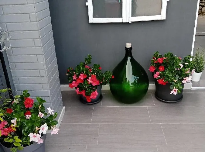 Kuca Za Odmor Silvano Ferienhaus Vodnjan