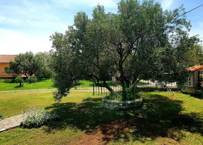 Kuca Za Odmor Silvano Vodnjan