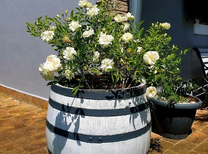 Kuca Za Odmor Silvano Ferienhaus Vodnjan